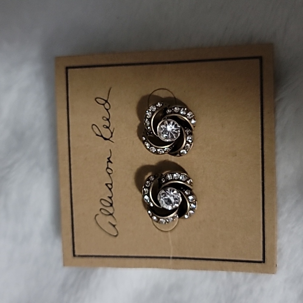 Allison Reed Earrings NWT